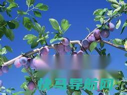 上长鸡眼怎么根治 第2张